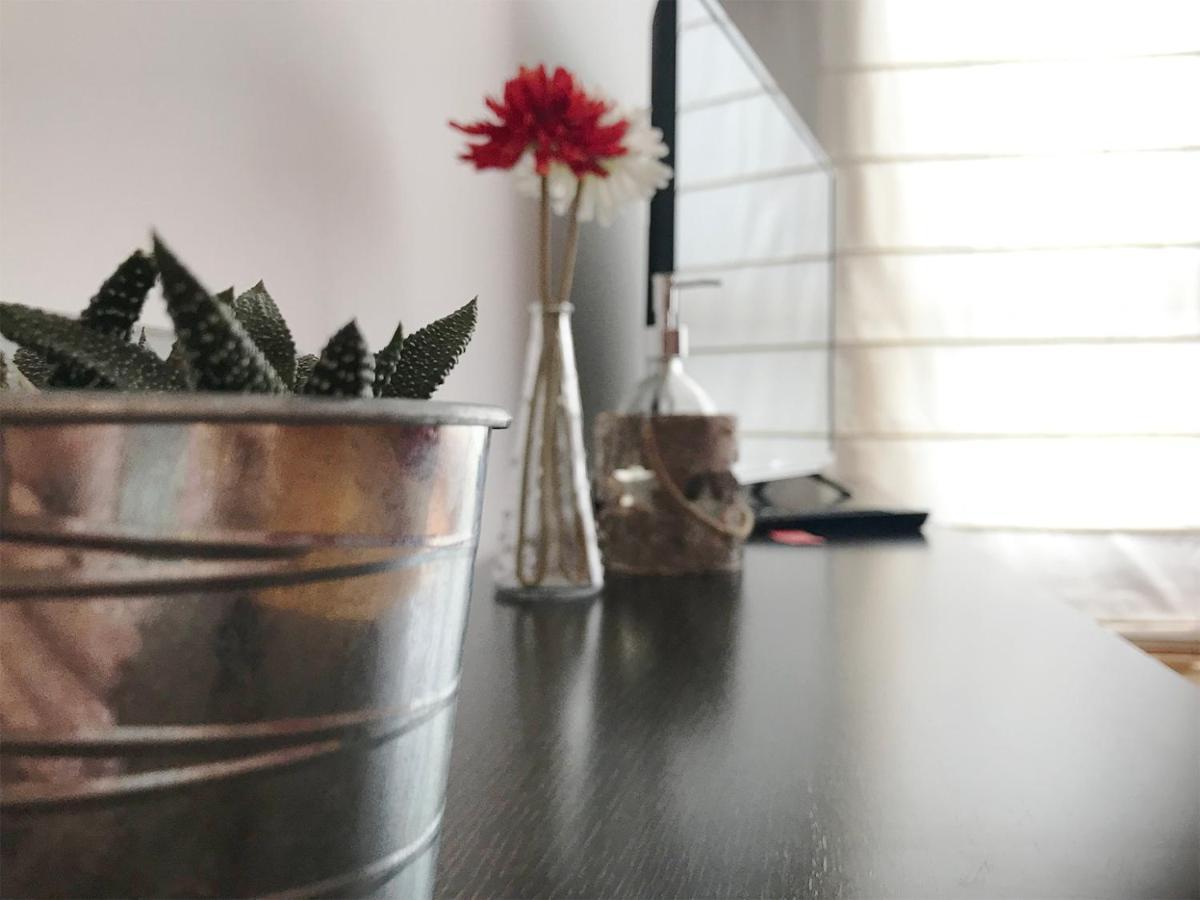 Apartamentos Arha Потес Экстерьер фото